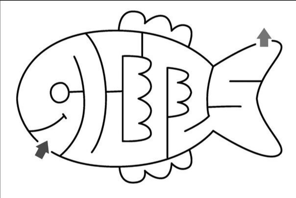 Coeliac Disease: What’s It Really All About?