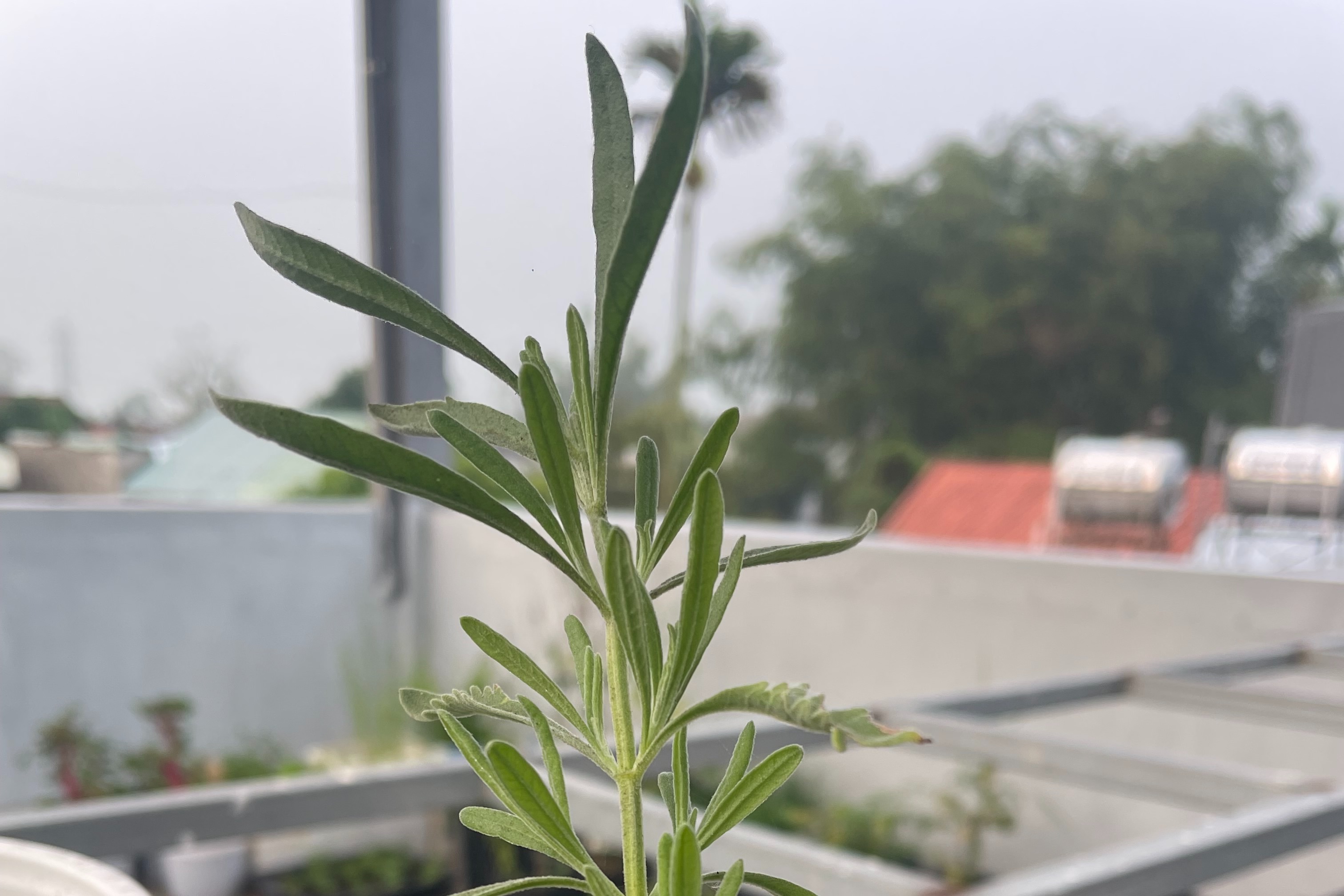 The Power of Exercise