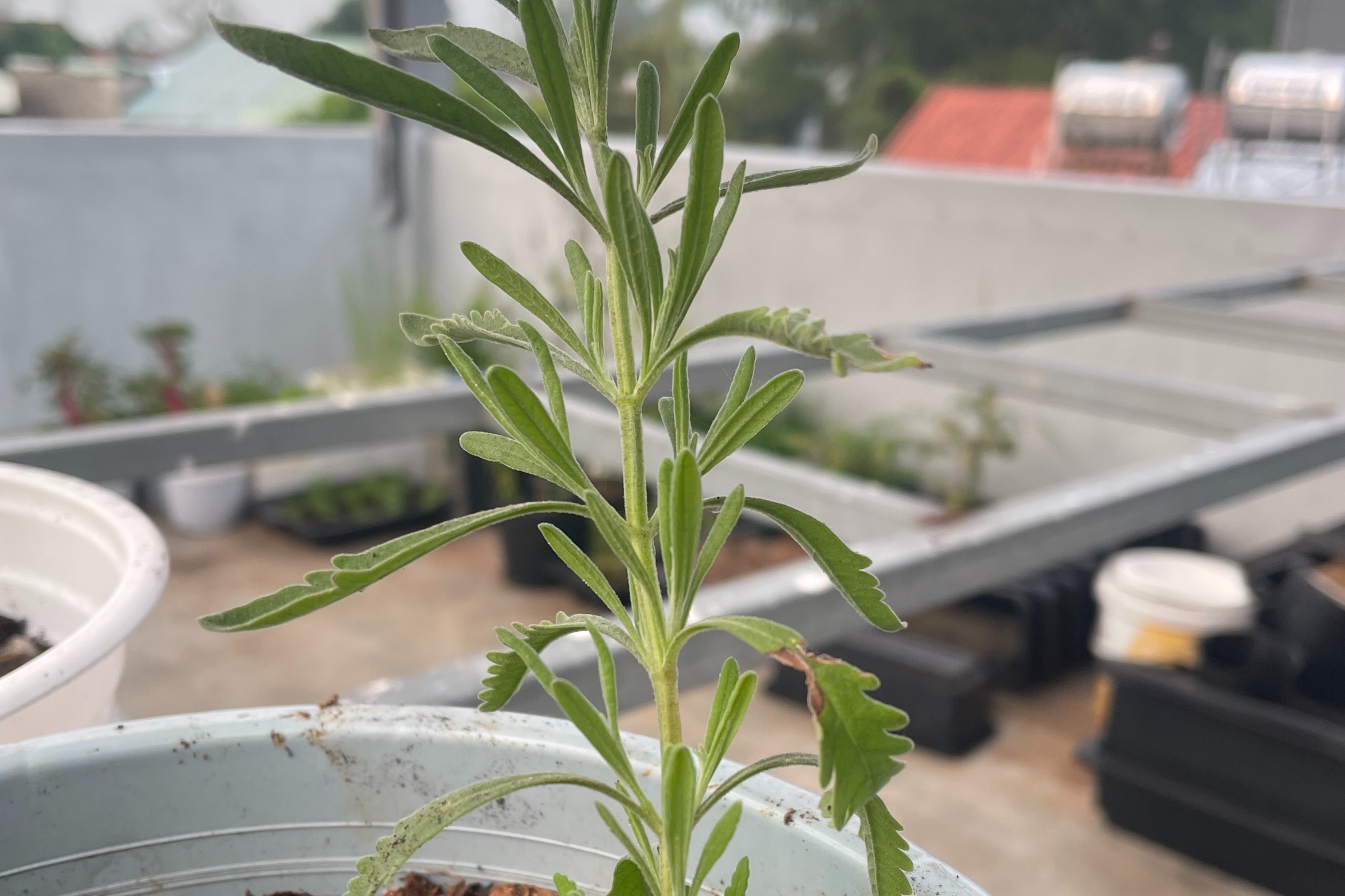 Battling the Ageing Process – Why Movement Matters 31032026