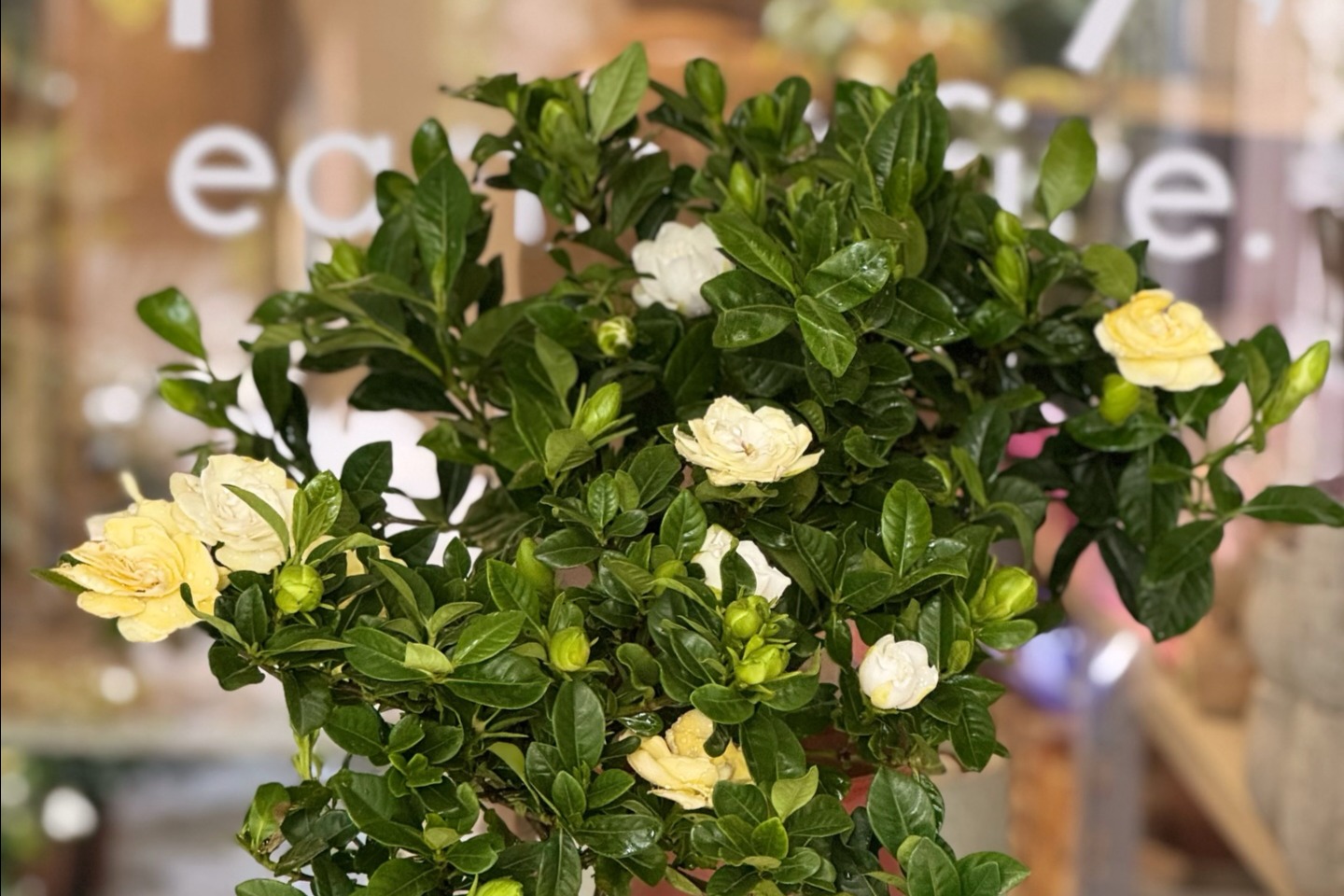 Why This Matters More Than Ever